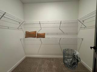 Walk-in closet with wire shelving and carpeted floor 2 at The Wren Apartments, Georgia, 30043