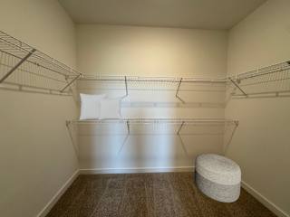 Walk-in closet with wire shelving and carpet flooring 3 at The Wren Apartments, Lawrenceville, Georgia