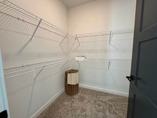 Walk-in closet with wire shelving and carpet flooring at The Wren Apartments, Georgia