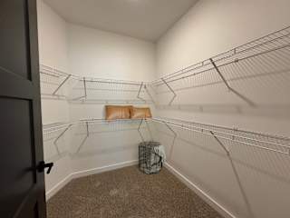 Walk-in closet with wire shelving and carpeted floor 4 at The Wren Apartments, Georgia