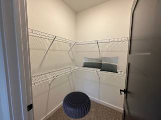 Walk-in closet with wire shelving at The Wren Apartments, Lawrenceville, GA