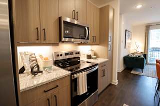 Galley kitchen with stainless steel appliances at The Wren Apartments, Lawrenceville, GA 30043