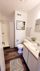 A bathroom with a toilet, sink, and shower.