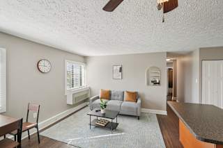 A living room with a grey couch and a blue rug.