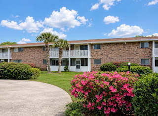 A building with a white fence and a palm tree in front.