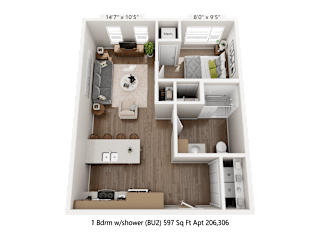 A 1 Bedroom with shower apartment is 206.306 square feet.