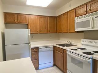 Fully equipped kitchen with plenty of cabinet space