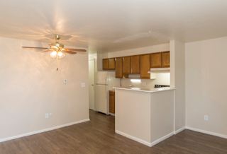 Floor Plan 1 Bed / 1 Bath