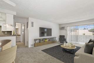 1 bedroom living room area
