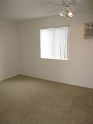 Floor Plan One Bedroom with den