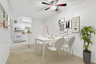 Floor Plan 1 Bedroom Apartment