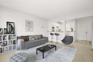 Floor Plan 1 Bedroom Apartment