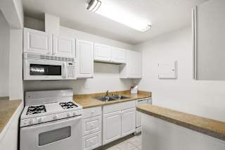 Floor Plan 1 Bedroom Apartment