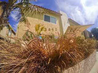the front of our house with palm trees and a retaining wall
