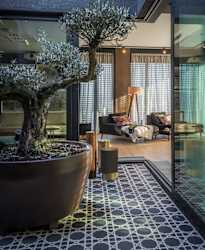 A bonsai tree in a large pot sits on a tiled floor in a modern living room.