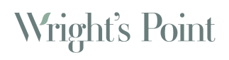 a blue logo with a white background and the words aviators point