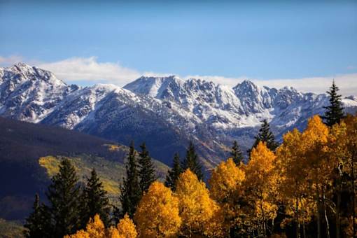 A mountain range with snow-covered peaks and a forest of trees with yellow leaves in the foreground.