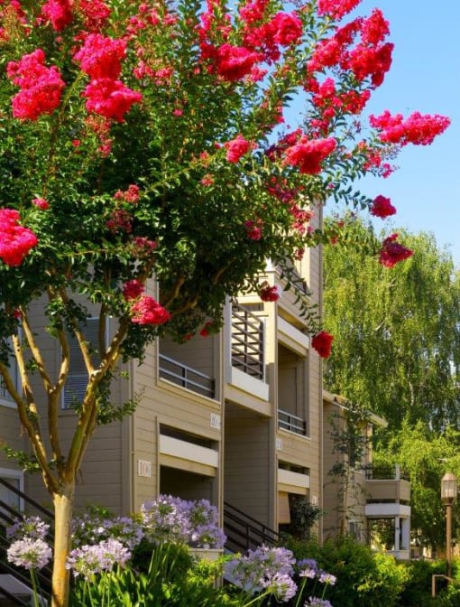 Exterior Photo