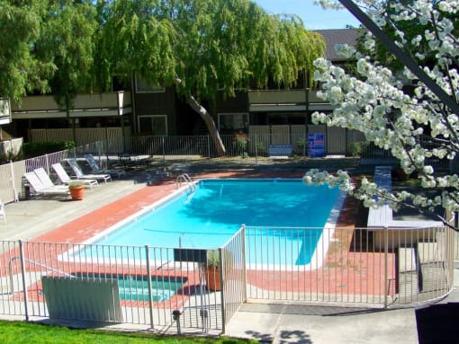 pool