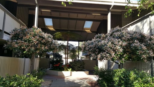 walkway