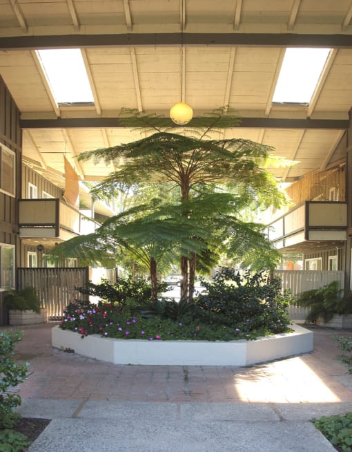 front entry