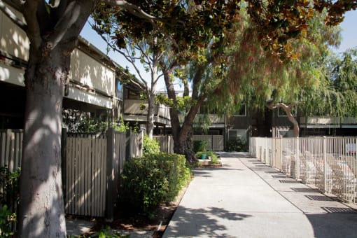 Walkway