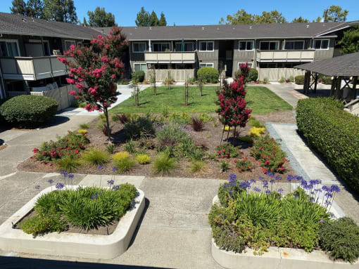 landscaped courtyard