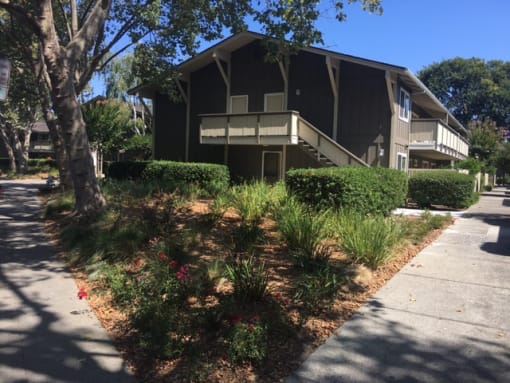 front landscaping