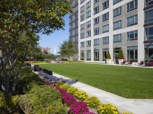 An enchanting outdoor green space awaits, offering a tranquil respite amidst the bustling cityscape at 360 State Street, New Haven, CT