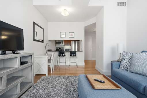 A living room with a grey rug and a blue couch.