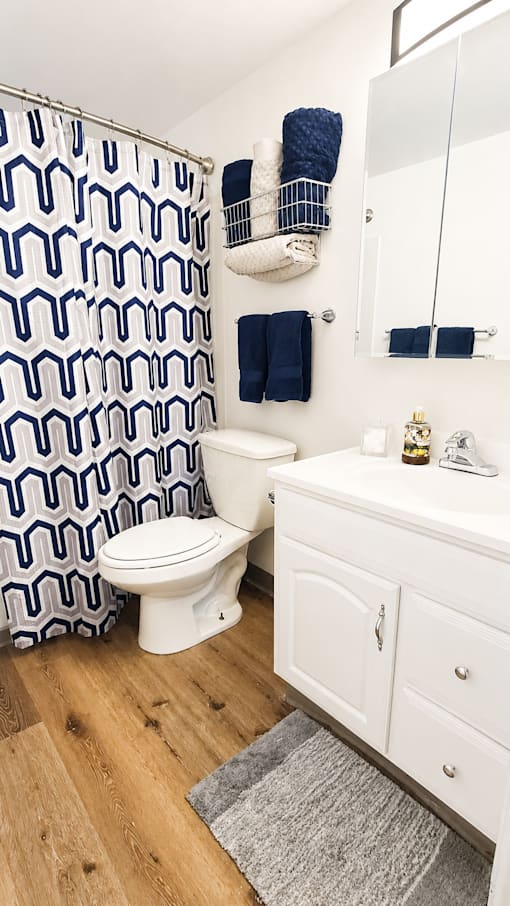 A white toilet in a bathroom with a white cabinet and a grey rug.