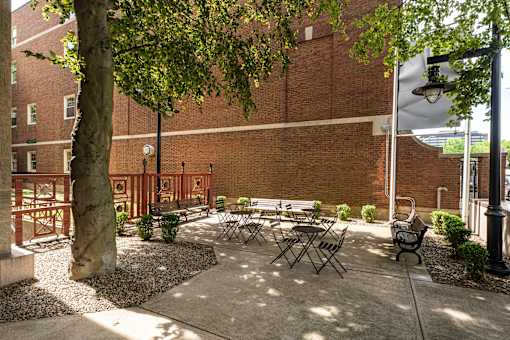 A courtyard with a table and chairs and a tree.