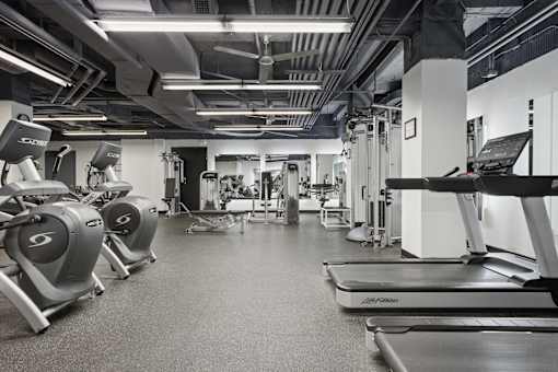 A gym with treadmills, elliptical machines, and other exercise equipment.