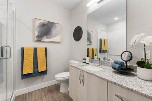 Luxurious Bathrooms at Mira at Palmer Ranch, Florida