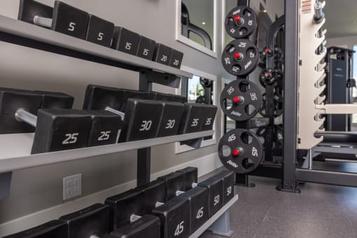 a row of weights on a rack in a gym