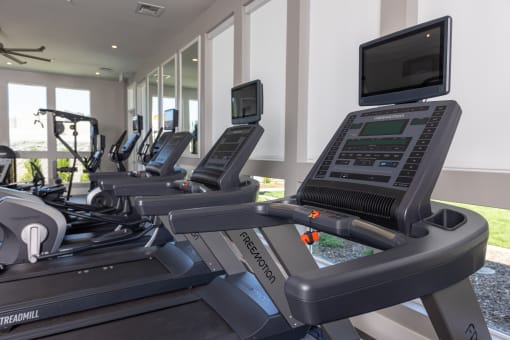 a row of cardio machines in Solasta gym