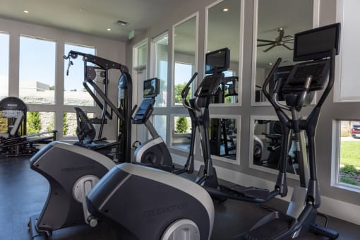 Solasta gym with various exercise machines and windows