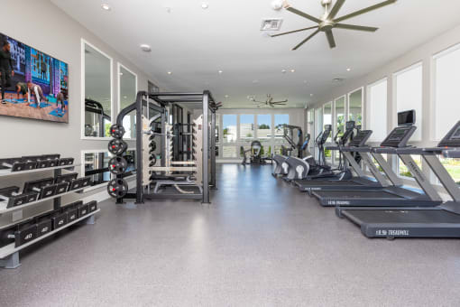 the gym has treadmills and other fitness equipment and windows