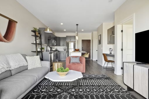 a living room with a gray couch and a black and white rug