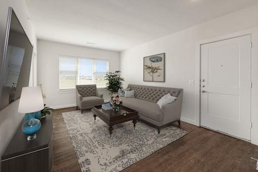 A living room with a grey sofa, a coffee table, and a rug.