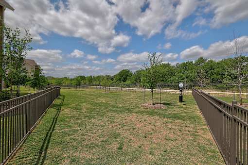A dog park with a fence and a few trees.