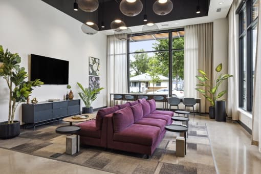 a living room with a purple couch and a large window