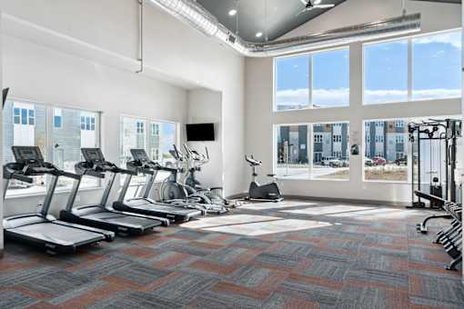 Mural-Fitness Center