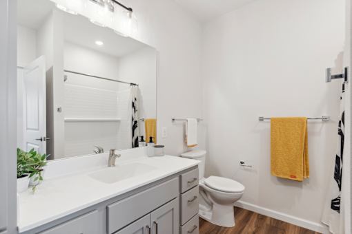 Mural-Model Unit Bathroom