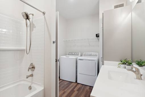 Mural-Model Unit Laundry