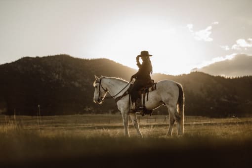 a cowboy on a horse in a field