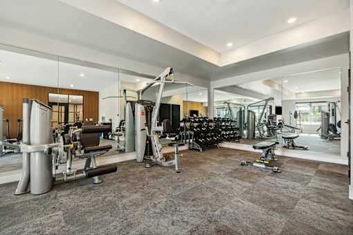 A spacious gym with a variety of equipment including treadmills, weights, and exercise machines.