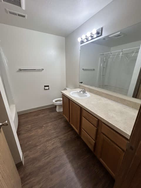 A bathroom with a toilet, sink, mirror, and lighting fixture.