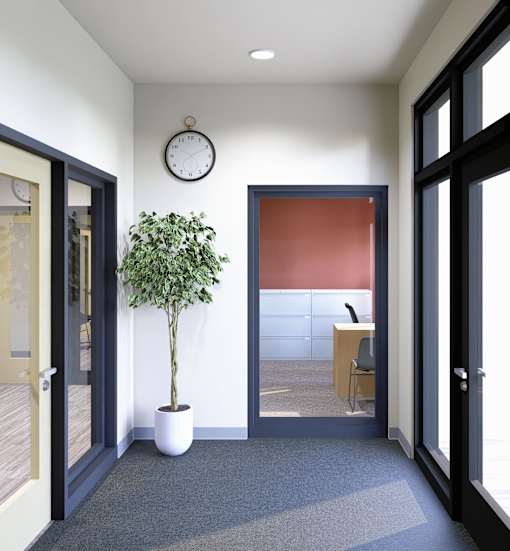 A room with a plant, a chair, and a clock on the wall.