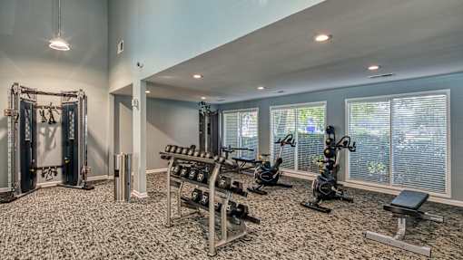 A well-equipped gym with various exercise machines and weights.